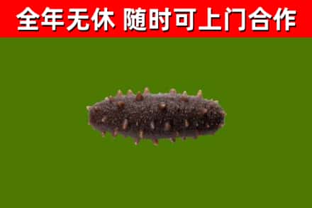 南通烟酒回收干海参.jpg